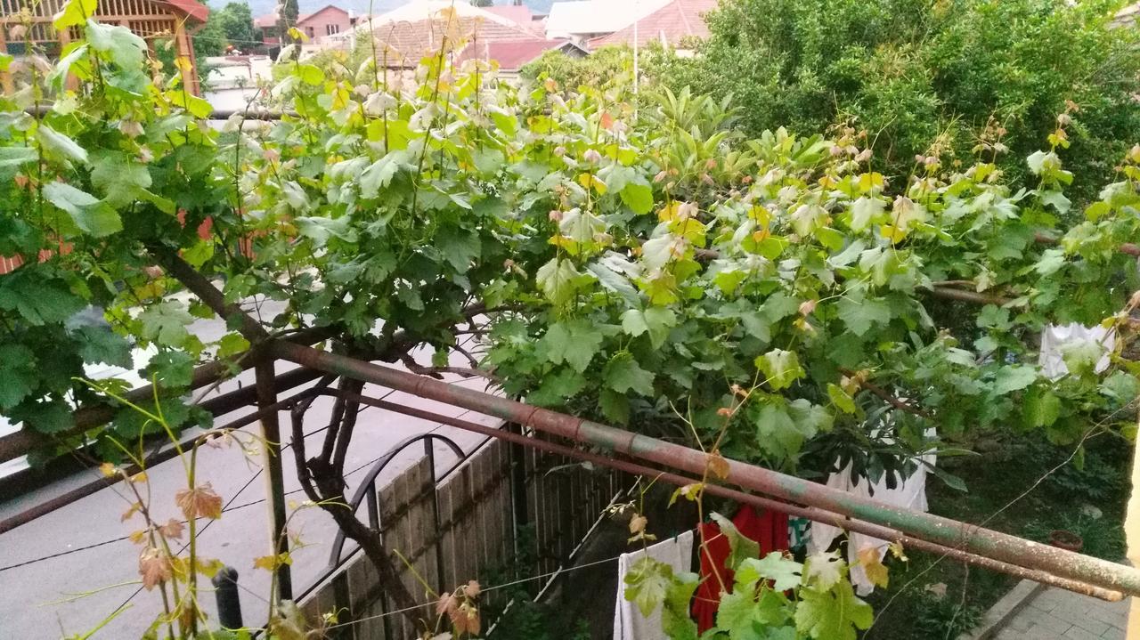 Guest House Gelit Mtskheta Exterior foto